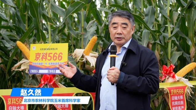 区推介会：玉米新品种引领新未来j9九游会登录北京龙耘种业东北(图3)